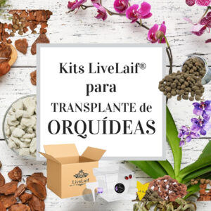 Kits de trasplante